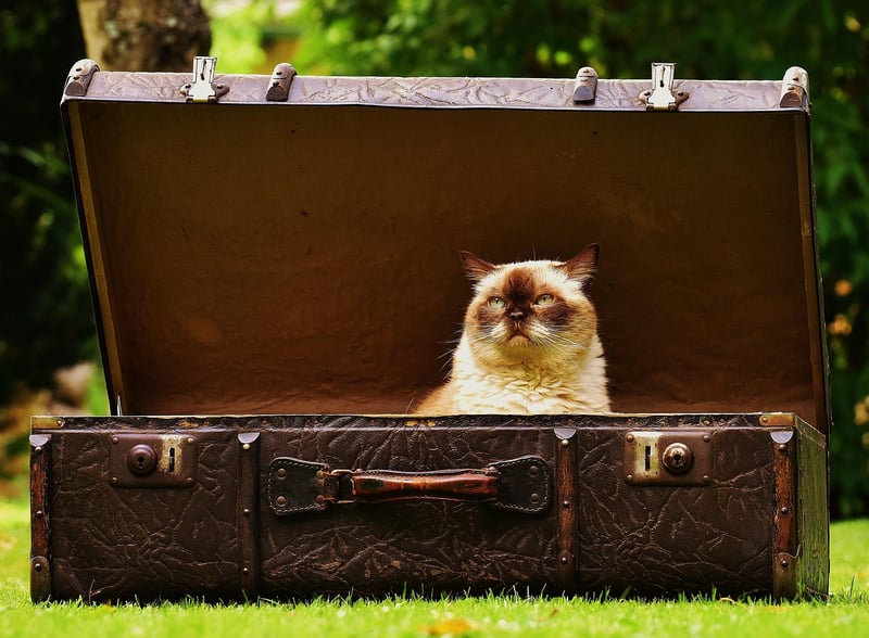 Packing Hacks